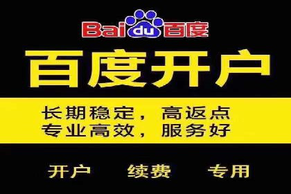 竞价托管策略调整：一则快速提升排名的案例